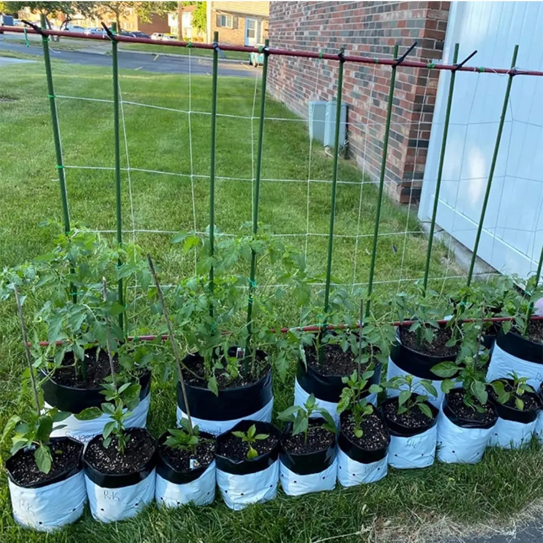 ECOSTAKA® VARILLAS SOPORTE DE ESCALADA PARA PLANTAS, VEGETALES Y HUERTAS EN ACERO