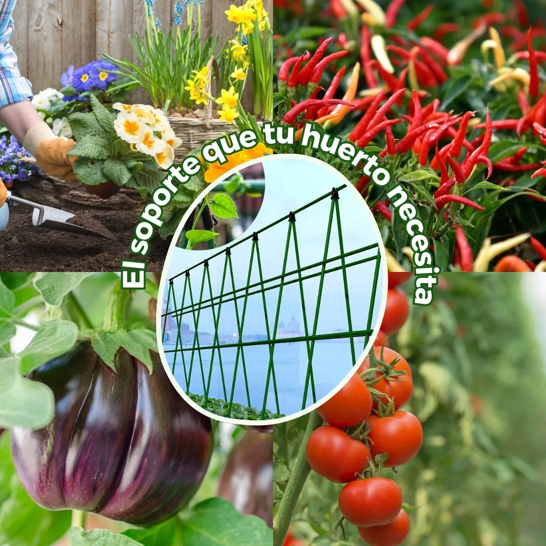 ECOSTAKA® VARILLAS SOPORTE DE ESCALADA PARA PLANTAS, VEGETALES Y HUERTAS EN ACERO