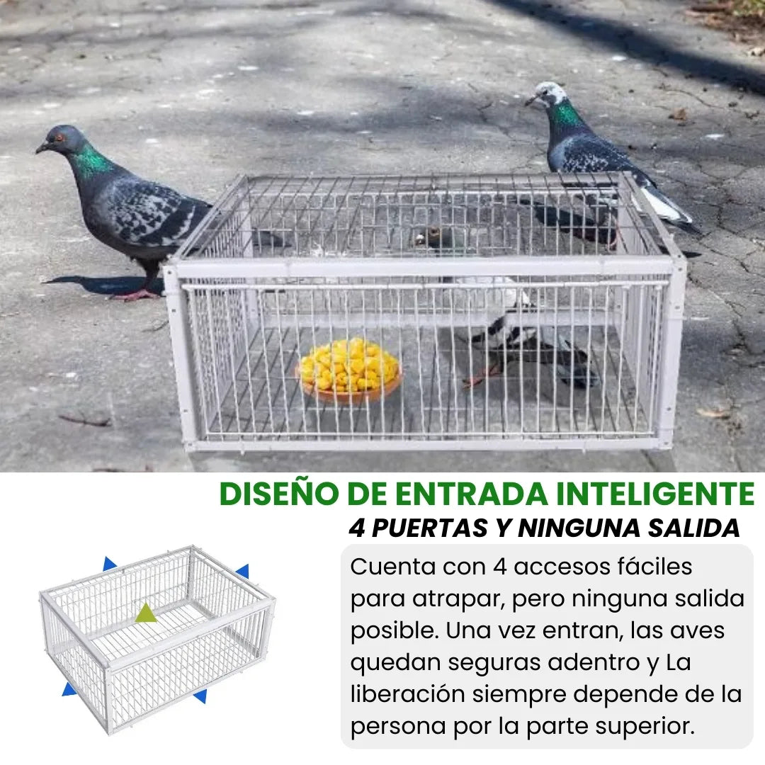AVILOCK® JAULA PARA AVES CON TRAMPA INTELIGENTE ANTIESCAPE DE ACERO INOXIDABLE