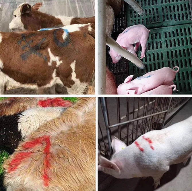 AniMark® Oferta 4+4 🔥 Set de 8 marcadores de animales