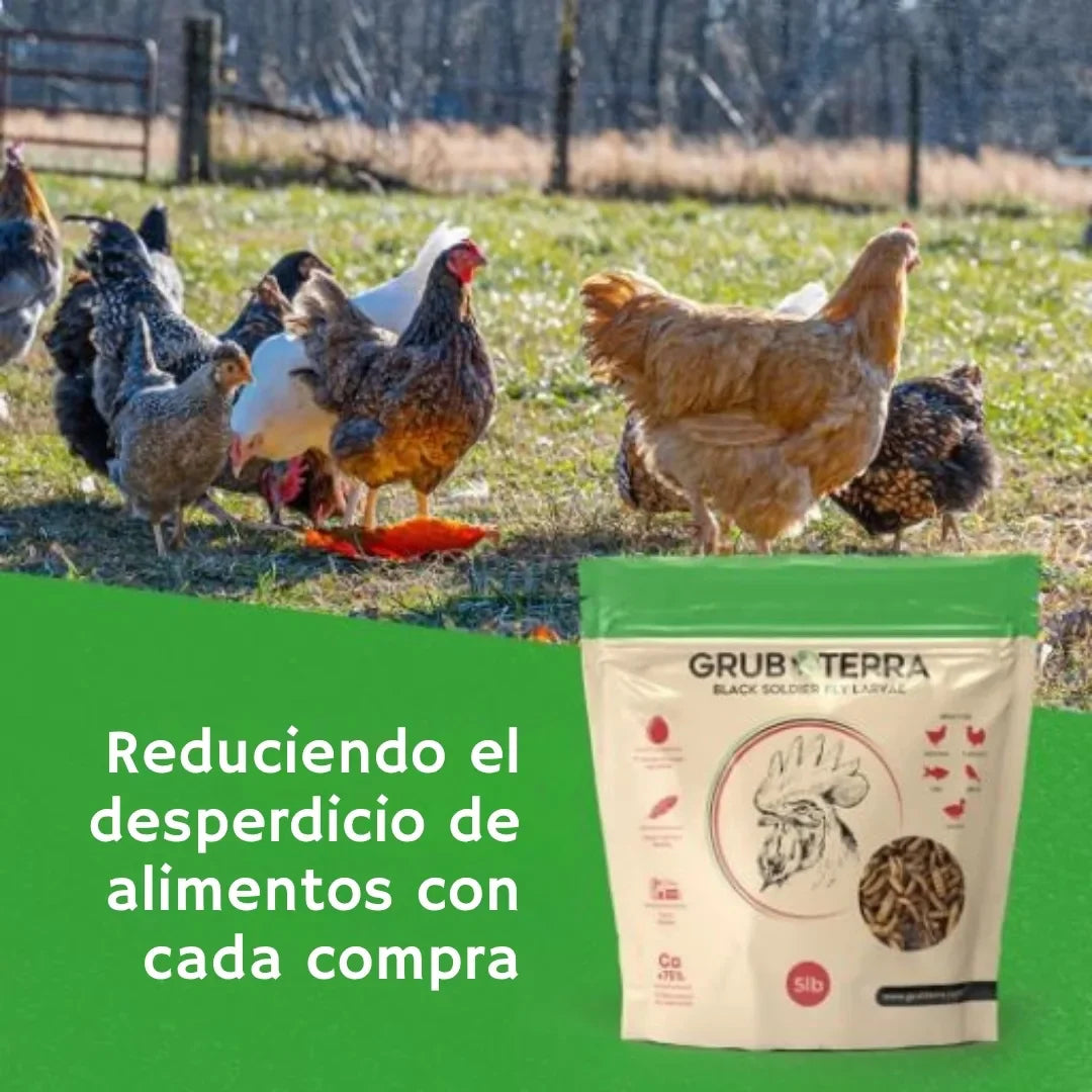 BIO GTERRA® LARVAS DE MOSCA DE SOLDADO NEGRA SUPLEMENTO ALIMENTICIO ALTO EN CALCIO PARA GALLINAS Y ANIMALES DE CORRAL