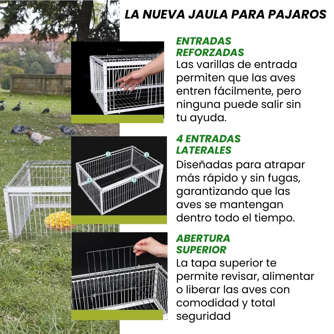 AVILOCK® JAULA PARA AVES CON TRAMPA INTELIGENTE ANTIESCAPE DE ACERO INOXIDABLE