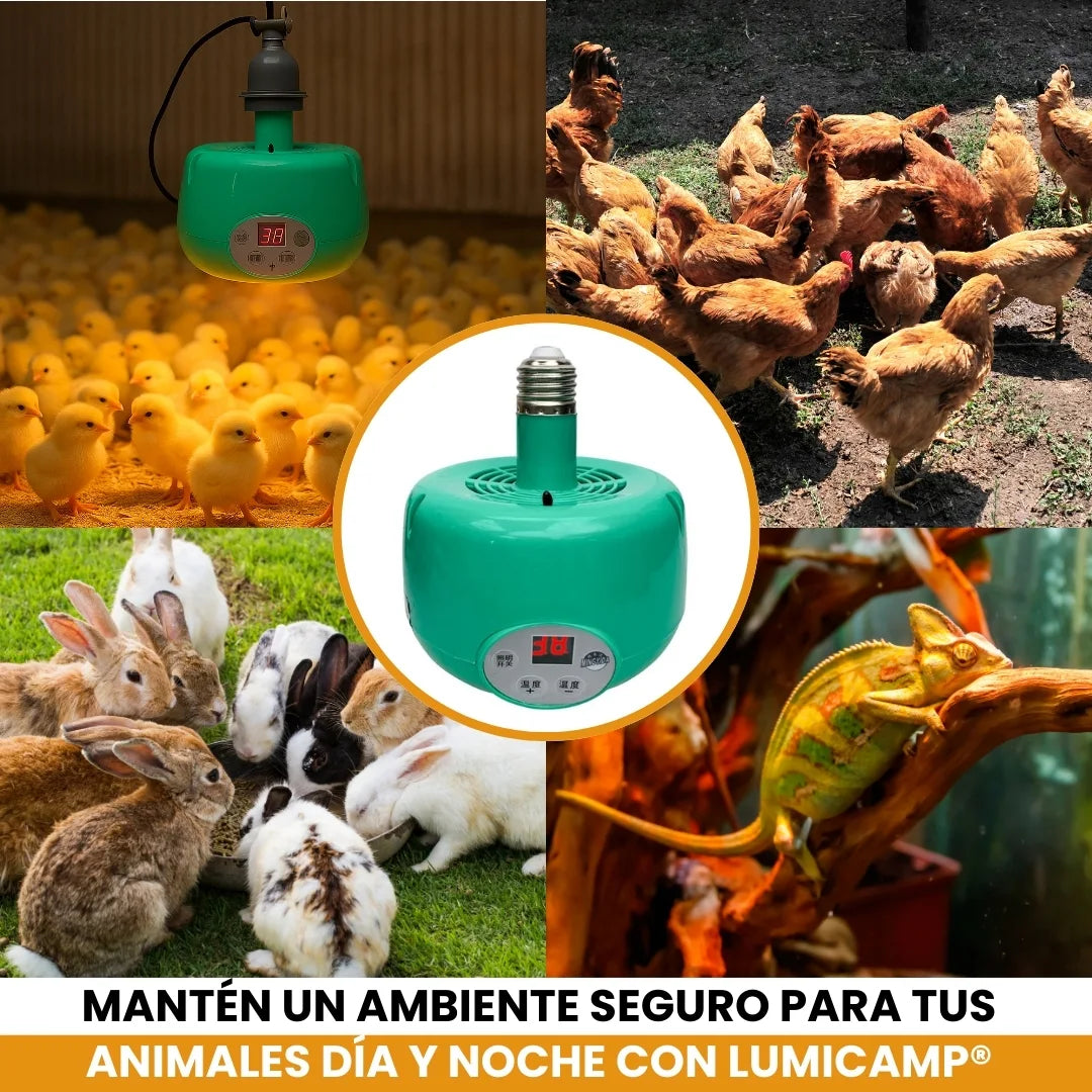 LUMICAMP® LAMPARA CALEFACTORA INTELIGENTE PARA GALPONES Y CRIADEROS