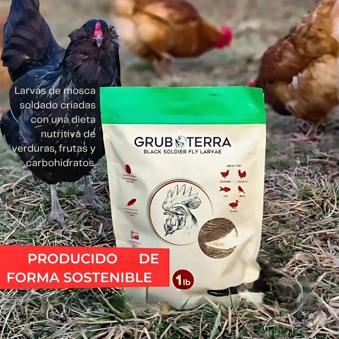 BIO GTERRA® LARVAS DE MOSCA DE SOLDADO NEGRA SUPLEMENTO ALIMENTICIO ALTO EN CALCIO PARA GALLINAS Y ANIMALES DE CORRAL