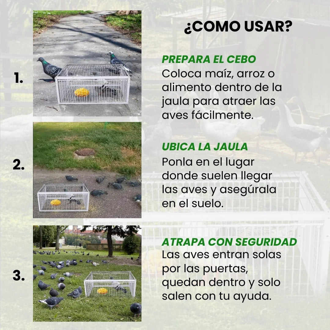 AVILOCK® JAULA PARA AVES CON TRAMPA INTELIGENTE ANTIESCAPE DE ACERO INOXIDABLE