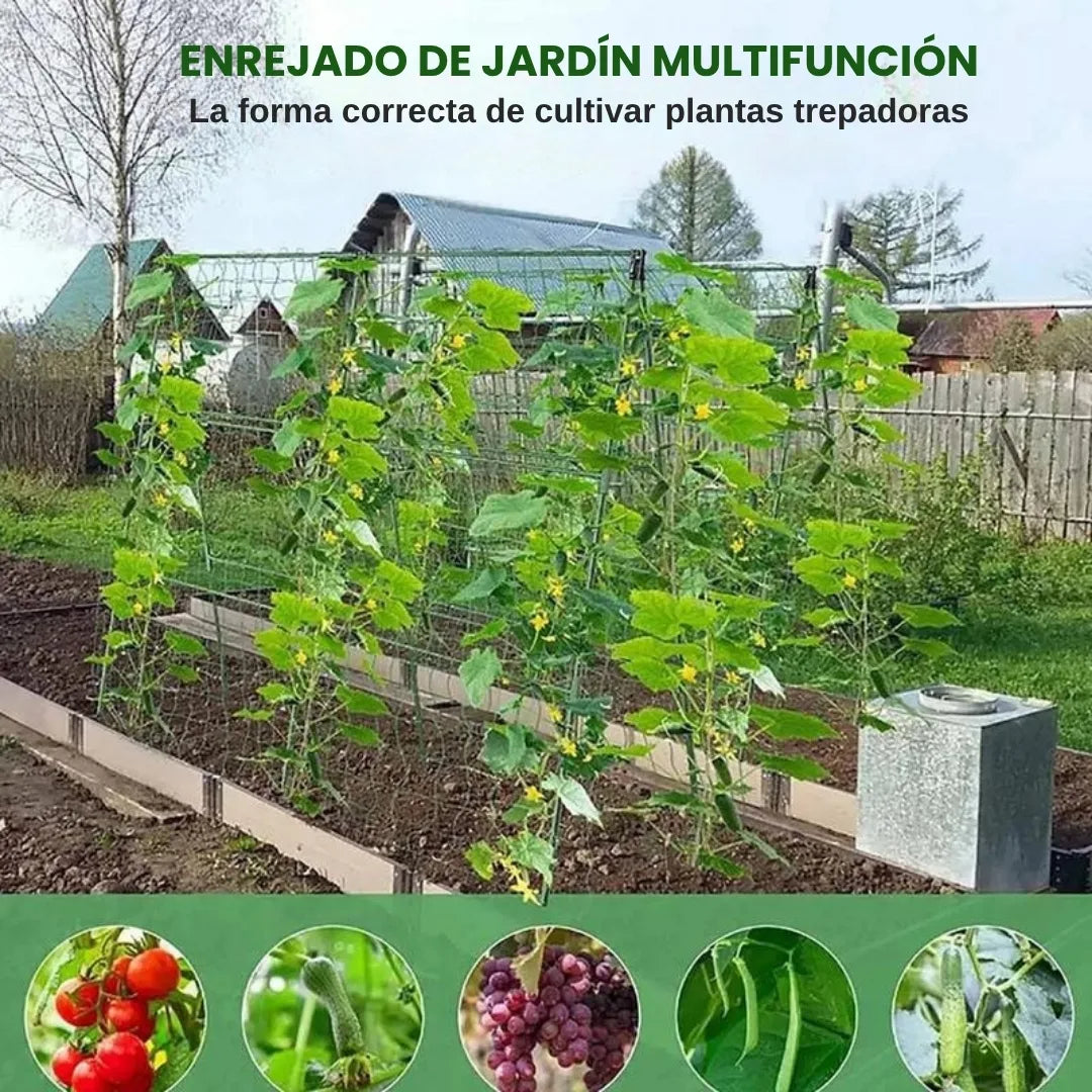 ECOSTAKA® VARILLAS SOPORTE DE ESCALADA PARA PLANTAS, VEGETALES Y HUERTAS EN ACERO