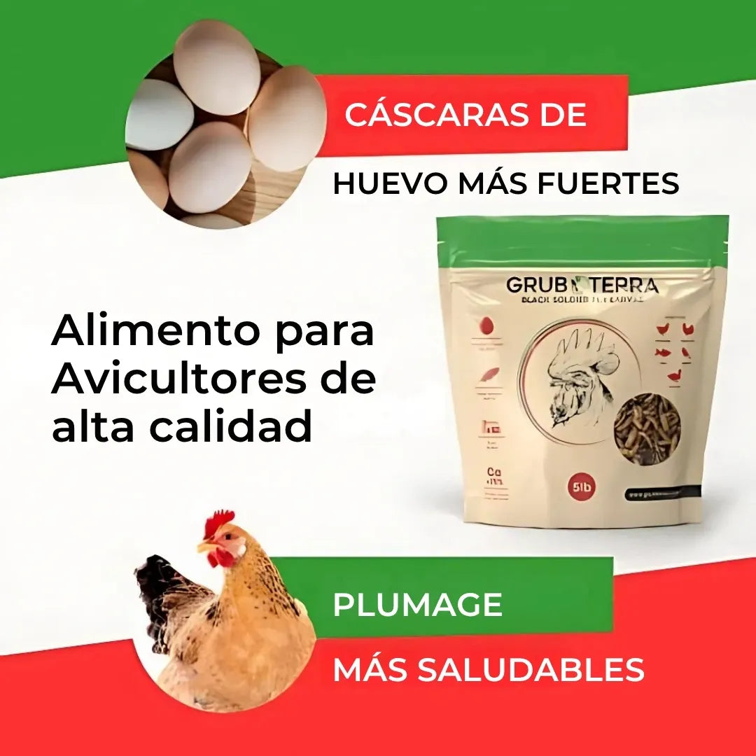 BIO GTERRA® LARVAS DE MOSCA DE SOLDADO NEGRA SUPLEMENTO ALIMENTICIO ALTO EN CALCIO PARA GALLINAS Y ANIMALES DE CORRAL
