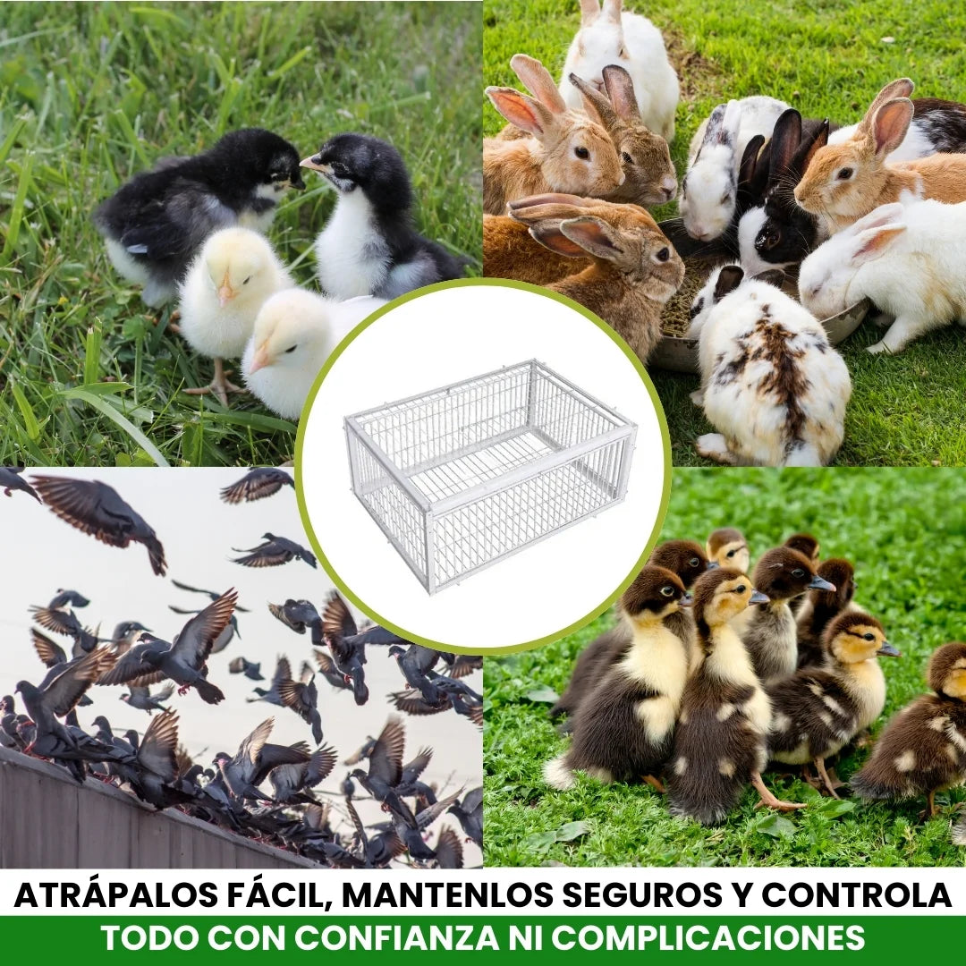 AVILOCK® JAULA PARA AVES CON TRAMPA INTELIGENTE ANTIESCAPE DE ACERO INOXIDABLE