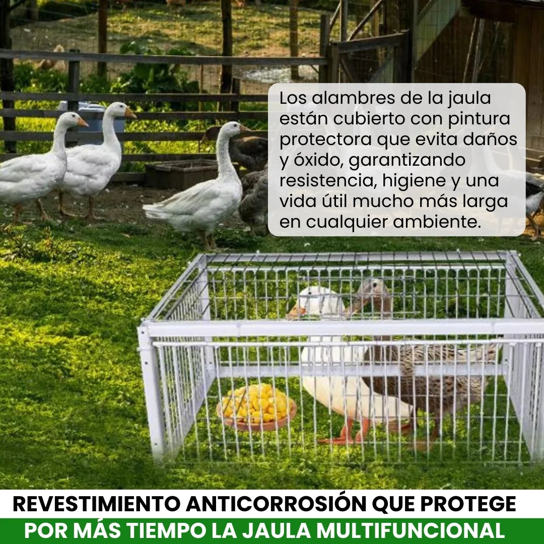 AVILOCK® JAULA PARA AVES CON TRAMPA INTELIGENTE ANTIESCAPE DE ACERO INOXIDABLE