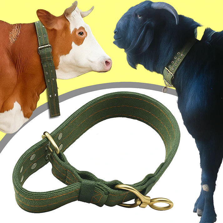 FixAgro® Collar ajustable para ganado y ovinos, lona de 6 capas 1.5Mt resistente y duradera