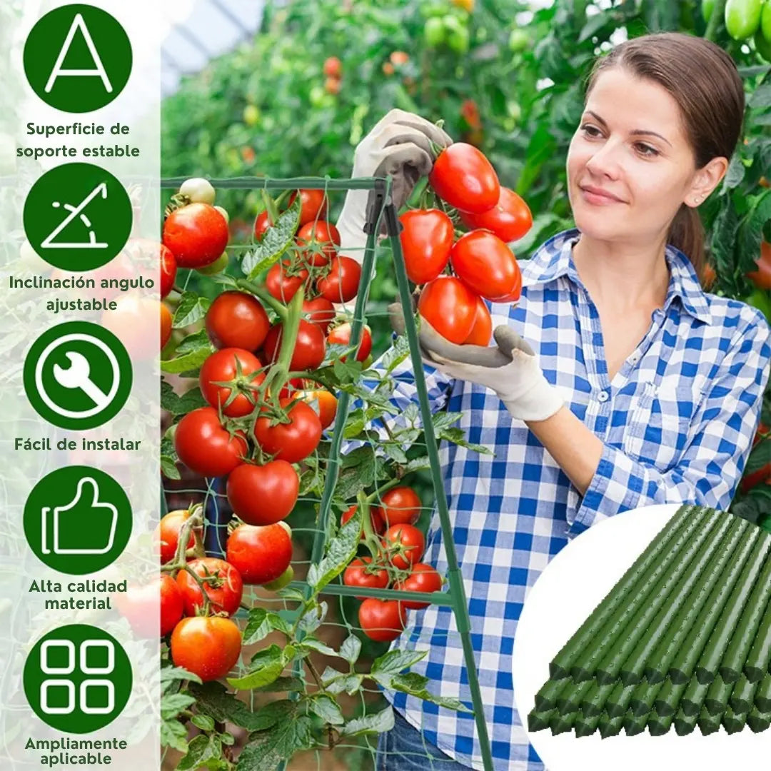 ECOSTAKA® VARILLAS SOPORTE DE ESCALADA PARA PLANTAS, VEGETALES Y HUERTAS EN ACERO