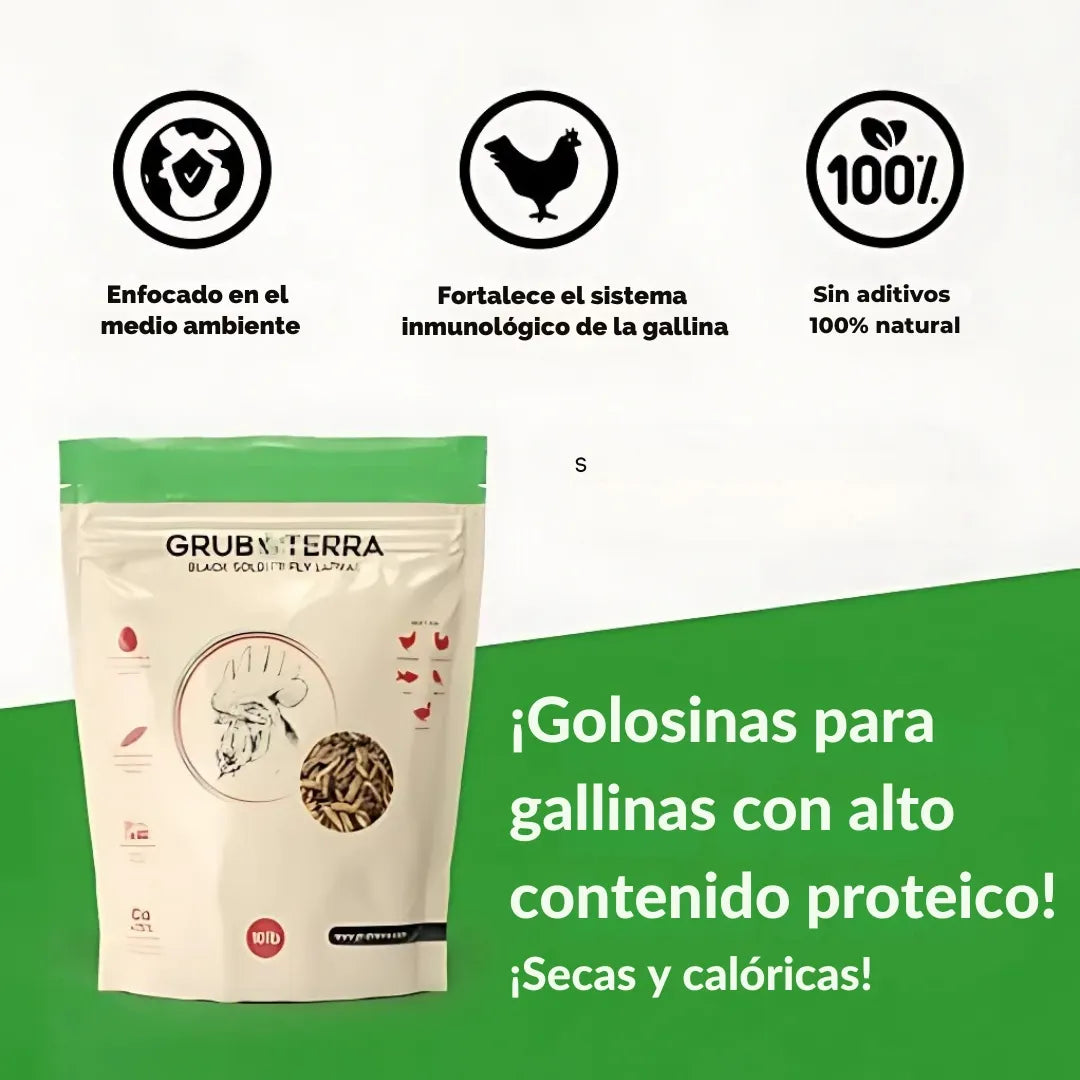 BIO GTERRA® LARVAS DE MOSCA DE SOLDADO NEGRA SUPLEMENTO ALIMENTICIO ALTO EN CALCIO PARA GALLINAS Y ANIMALES DE CORRAL