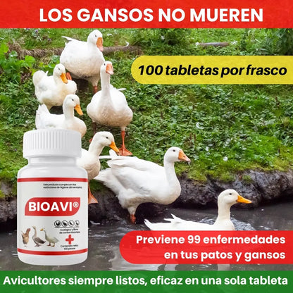 BIOAVI® FORMULA NATURAL PARA ELIMINAR GRIPE DE POLLO Y AVES / BASE DE RAIZ DE REGALIZ