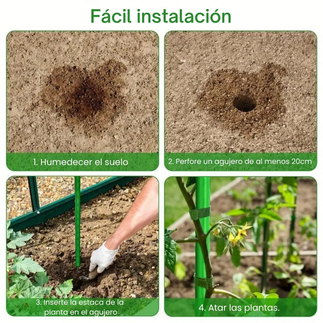 ECOSTAKA® VARILLAS SOPORTE DE ESCALADA PARA PLANTAS, VEGETALES Y HUERTAS EN ACERO