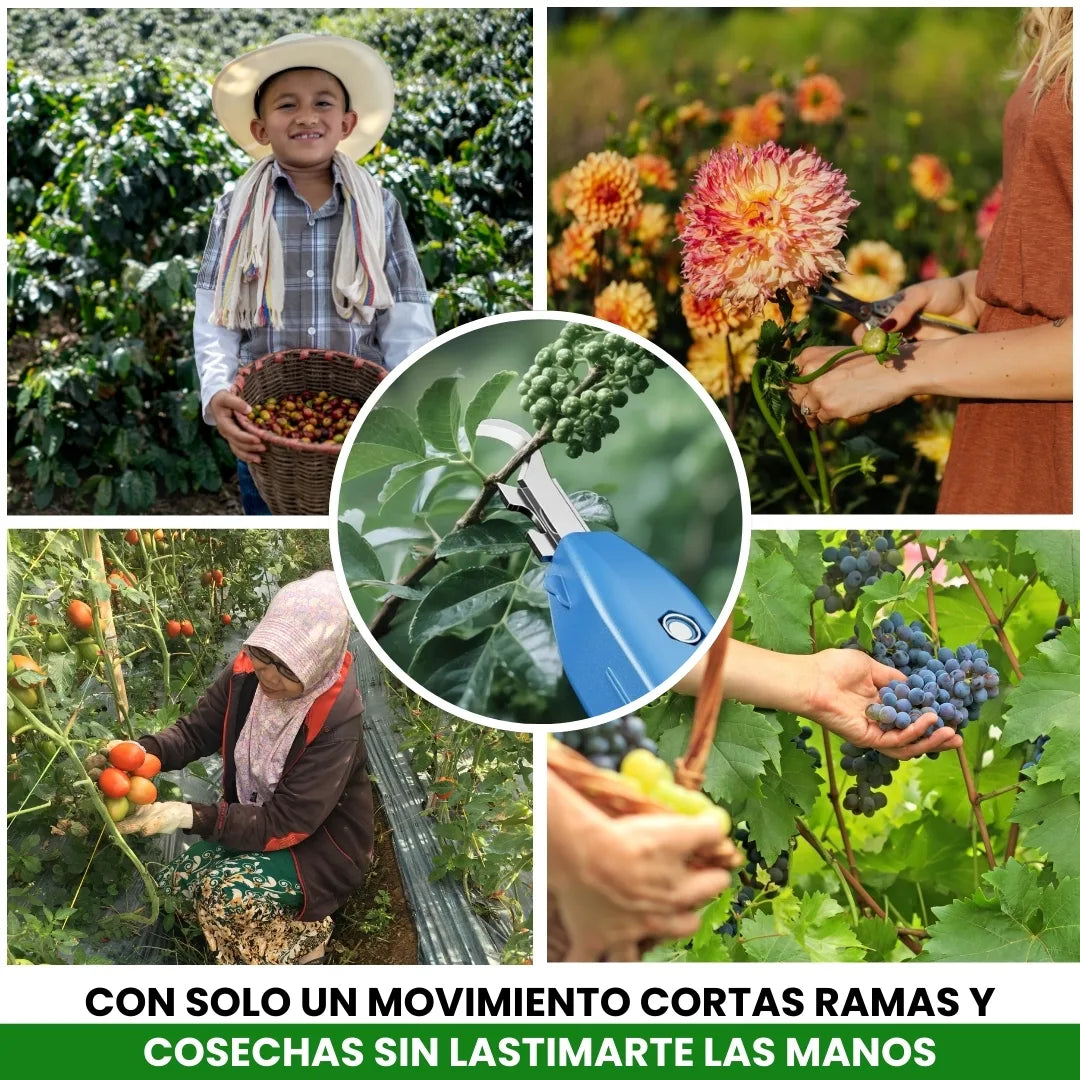 AGROCLIP® TIJERA COSECHADORA INTELIGENTE, CORTA FRUTAS,  FLORES, VERDURAS Y RAMAS