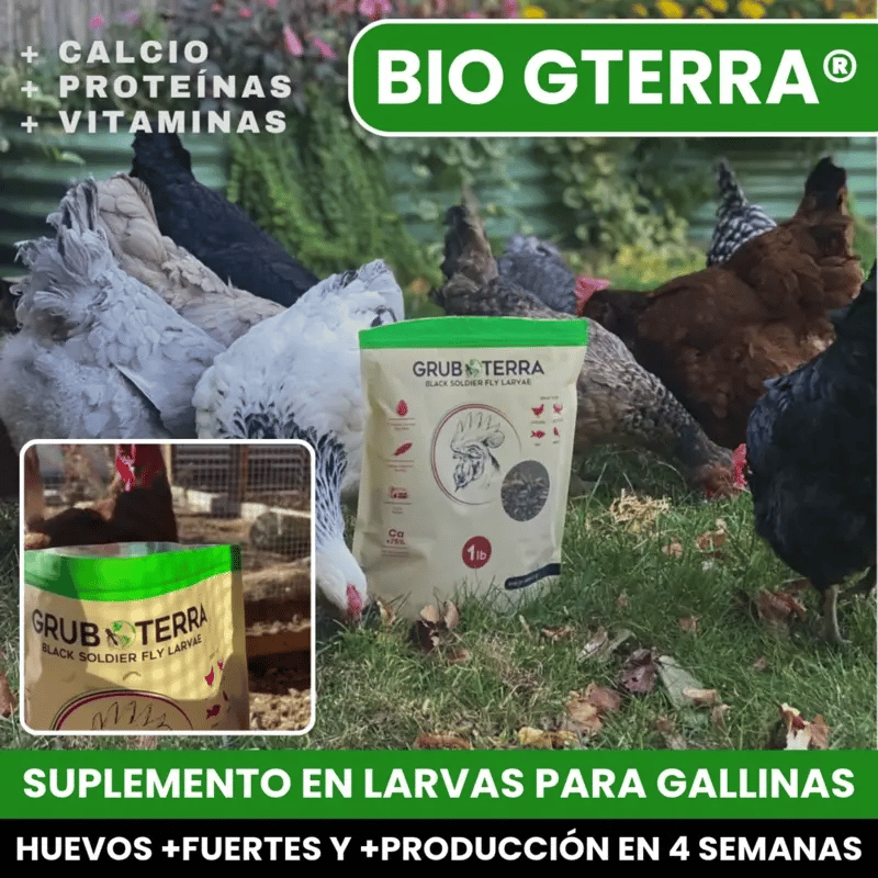 BIO GTERRA® LARVAS DE MOSCA DE SOLDADO NEGRA SUPLEMENTO ALIMENTICIO ALTO EN CALCIO PARA GALLINAS Y ANIMALES DE CORRAL