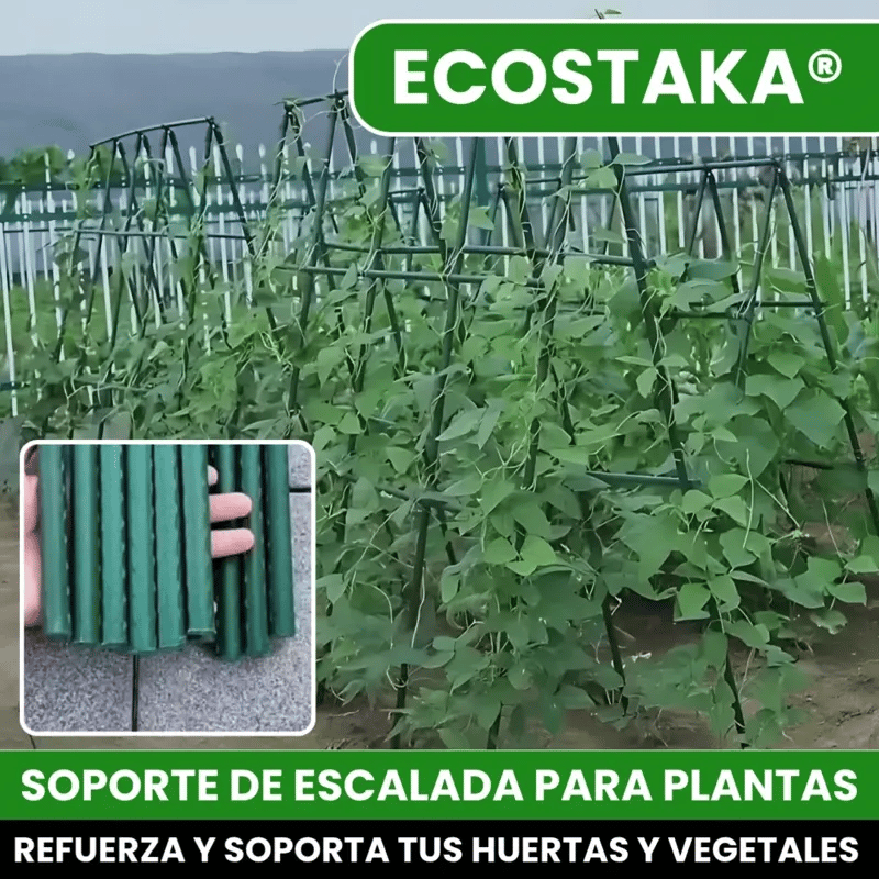 ECOSTAKA® VARILLAS SOPORTE DE ESCALADA PARA PLANTAS, VEGETALES Y HUERTAS EN ACERO