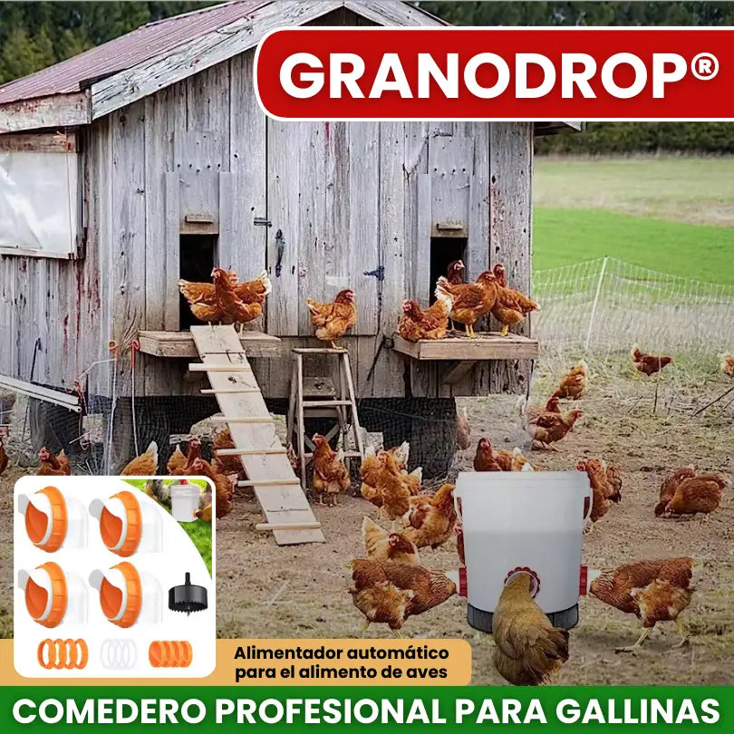 GRANODROP® COMEDERO PROFESIONAL AUTOMATICO PARA GALLINAS Y AVES DE CORRAL