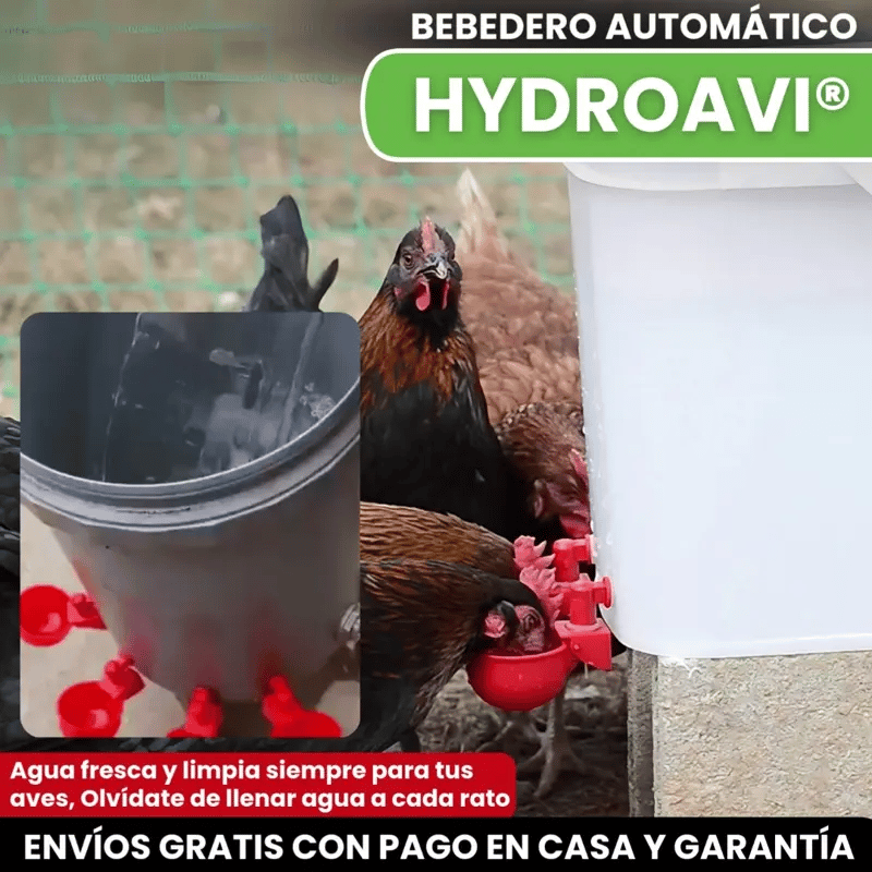 HYDROAVI® BEBEDERO AUTOMATICO PARA GALLINAS, POLLOS Y AVES DE CORRAL