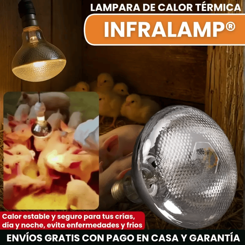 INFRALAMP® BOMBILLA DE CALOR INFRARROJO PARA GRANJAS Y GALPONES