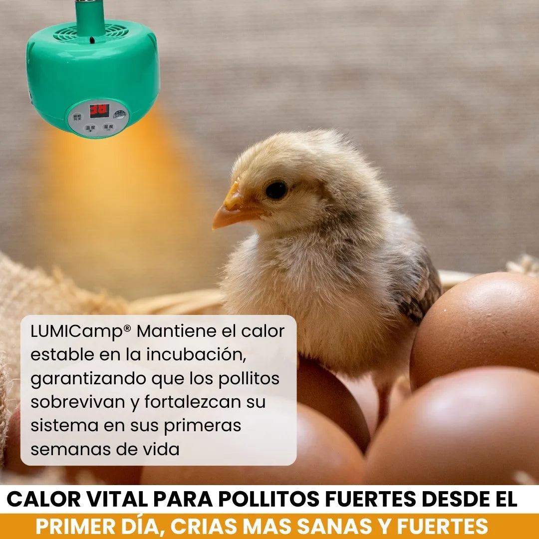 LUMICAMP® LAMPARA CALEFACTORA INTELIGENTE PARA GALPONES Y CRIADEROS