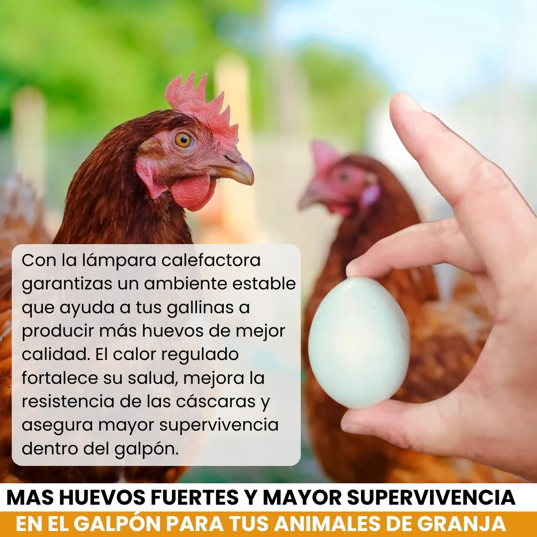 LUMICAMP® LAMPARA CALEFACTORA INTELIGENTE PARA GALPONES Y CRIADEROS