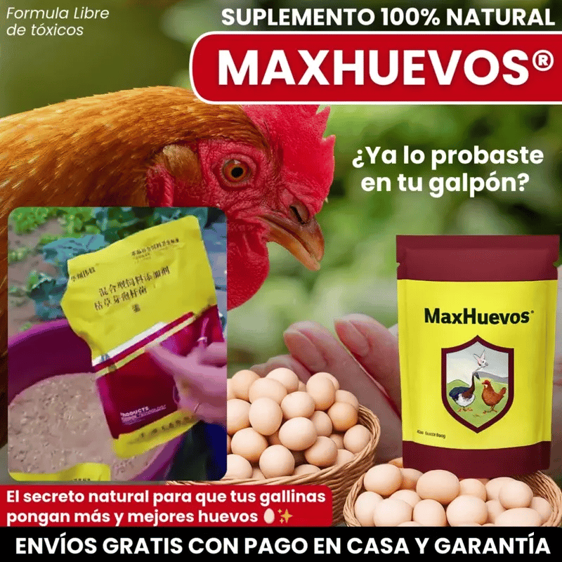 MAXHUEVOS® SUPLEMENTO NATURAL PARA AUMENTAR POSTURA DE HUEVOS EN GRANJAS Y GALPONES