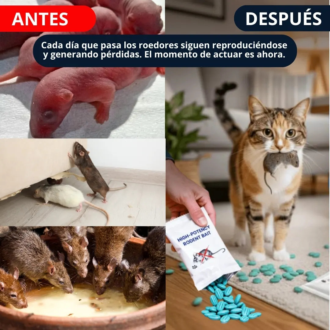 RatKill® CEBO PARA ROEDORES DE ALTA POTENCIA